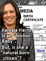 The constitutional qualification states that only natural born citizens can be president. Many scholars have claimed that to be a natural born citizen, at least one parent must be a U.S. citizen. All indicators thus far point to neither of Harris parents being citizens at the time of her birth. 